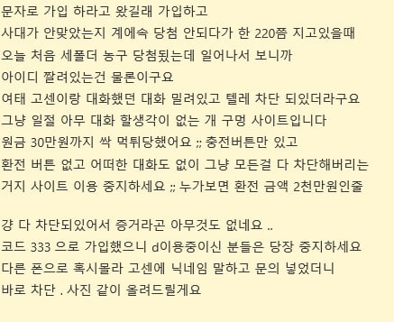 라쿤.jpg