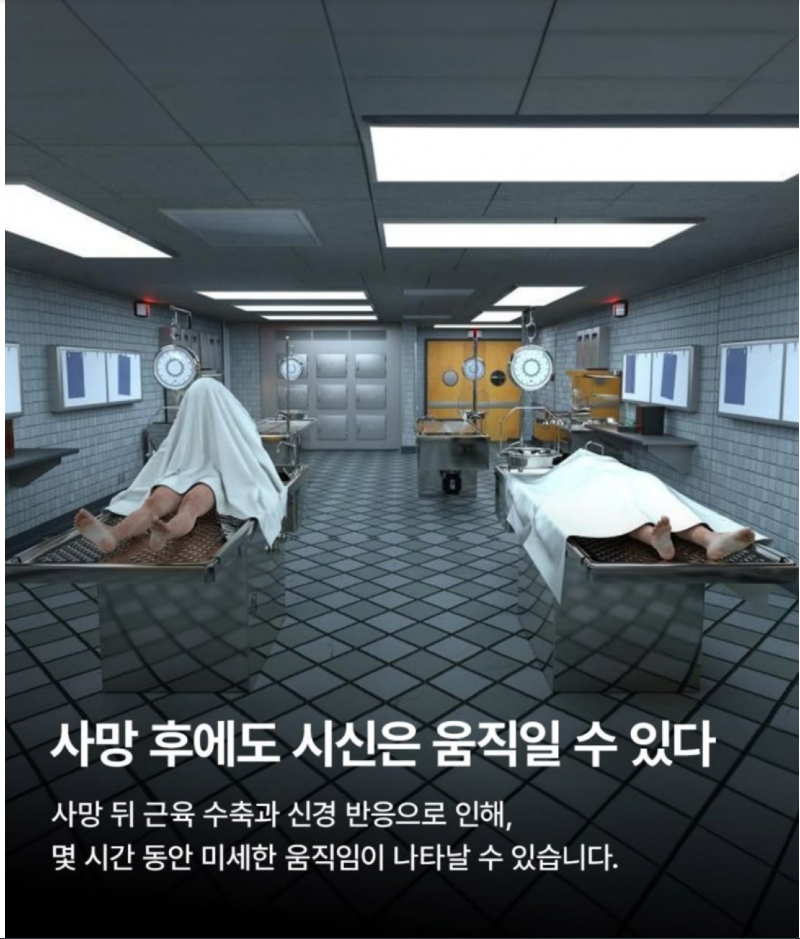 스크린샷 2026-01-11 오후 6.58.08.png