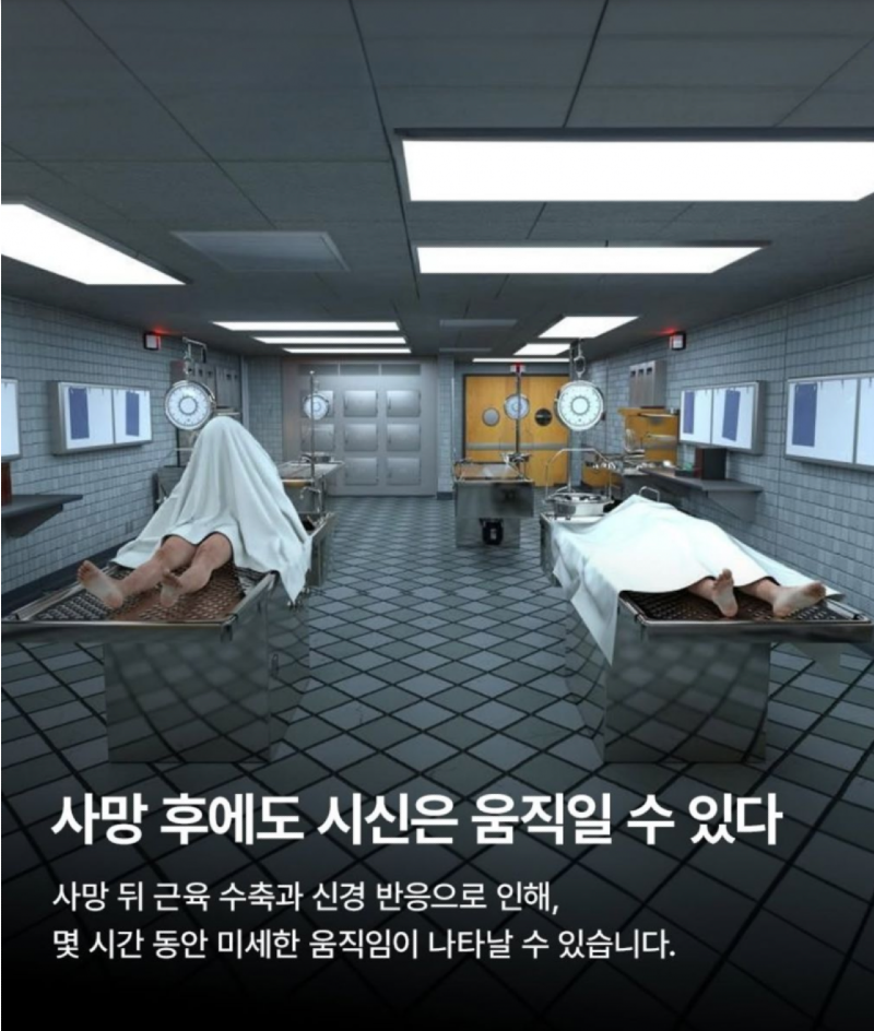 스크린샷 2026-01-12 오후 5.54.37.png