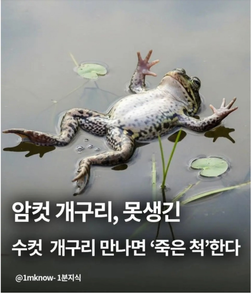 스크린샷 2026-01-12 오후 8.26.30.png