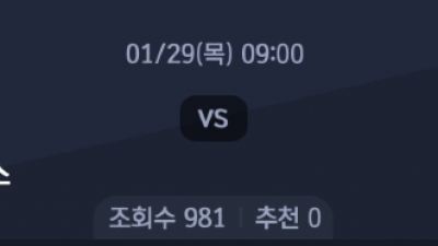 1월 29일 NBA 9경기