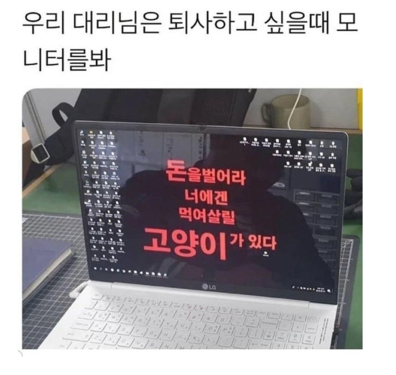스크린샷 2026-02-02 오전 12.36.43.png