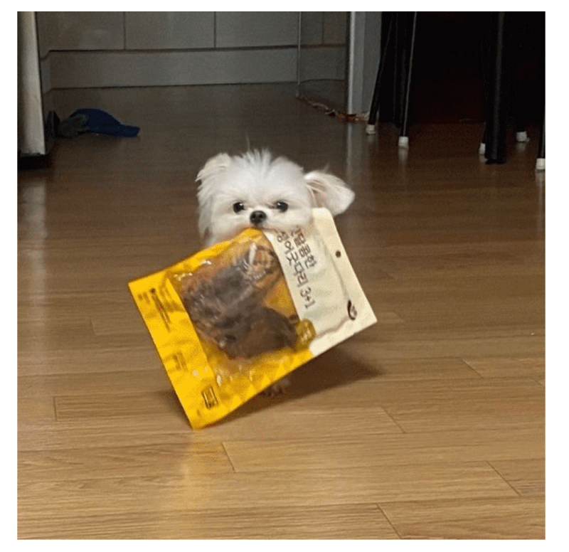 스크린샷 2026-02-02 오전 12.41.51.png