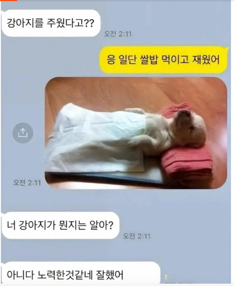 스크린샷 2026-02-02 오전 12.55.35.png