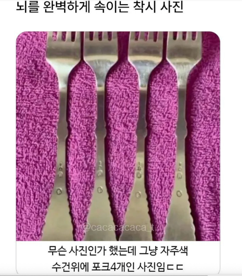 스크린샷 2026-02-17 오전 3.01.53.png