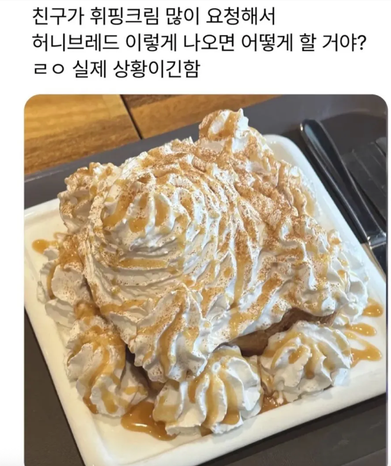 스크린샷 2026-02-17 오전 3.12.49.png
