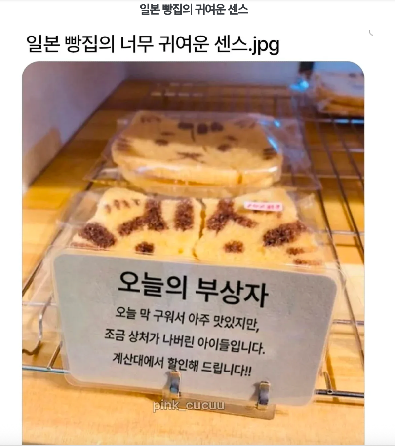 스크린샷 2026-02-19 오후 5.07.47.png