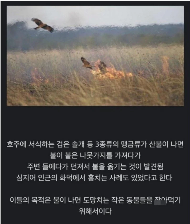 스크린샷 2026-03-02 오후 6.42.02.png