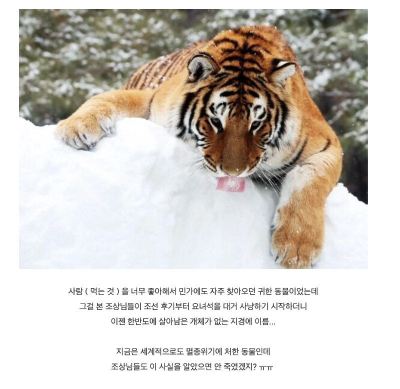 스크린샷 2026-03-19 오후 7.15.40.png