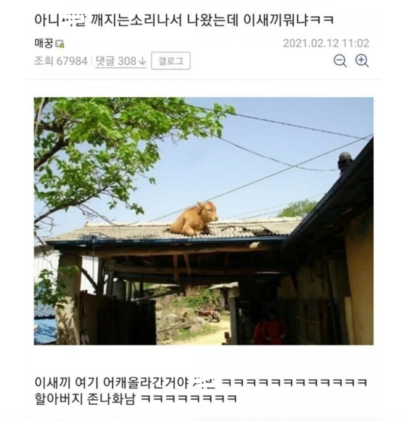 스크린샷 2026-03-19 오후 7.20.44.png