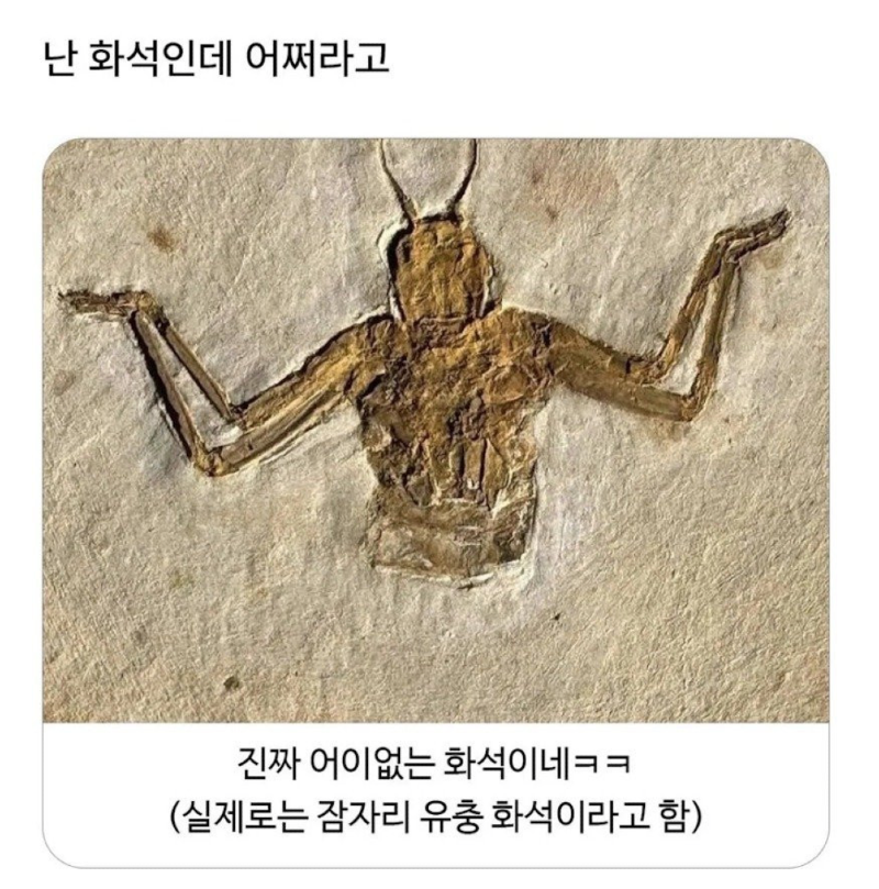 스크린샷 2026-03-24 오후 7.17.38.png