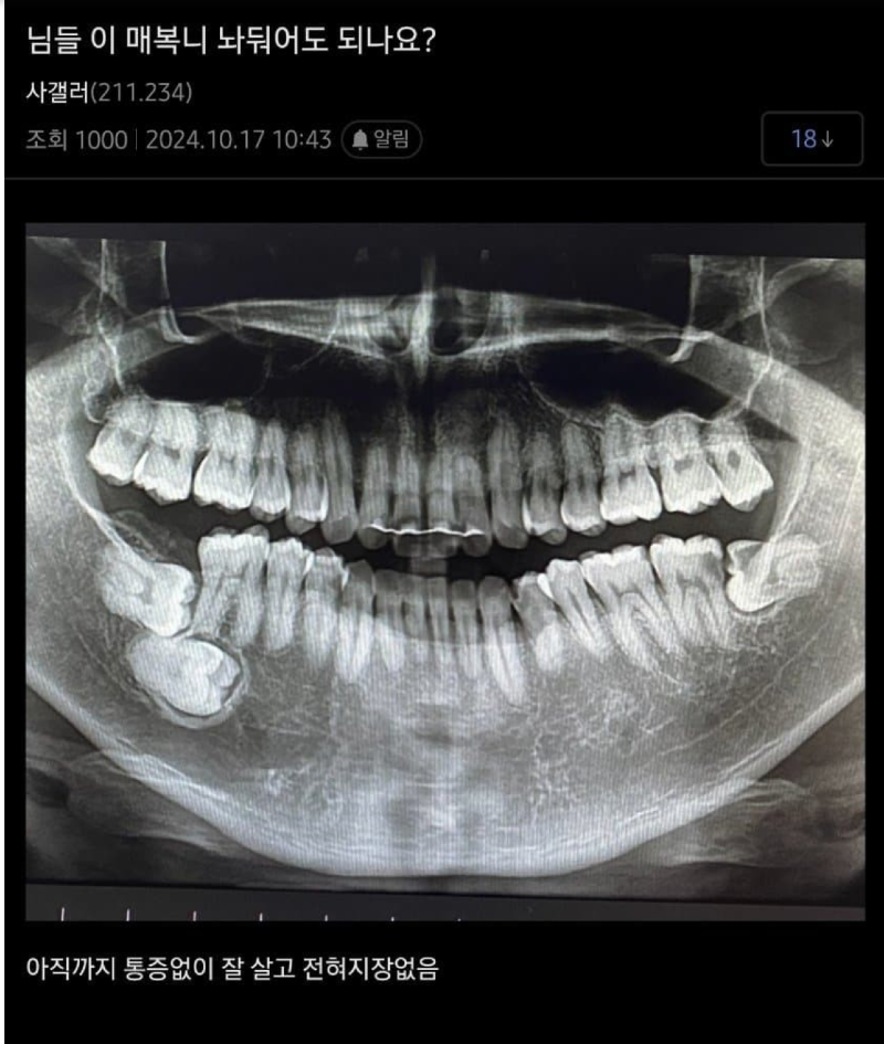 스크린샷 2026-03-24 오후 8.52.57.png