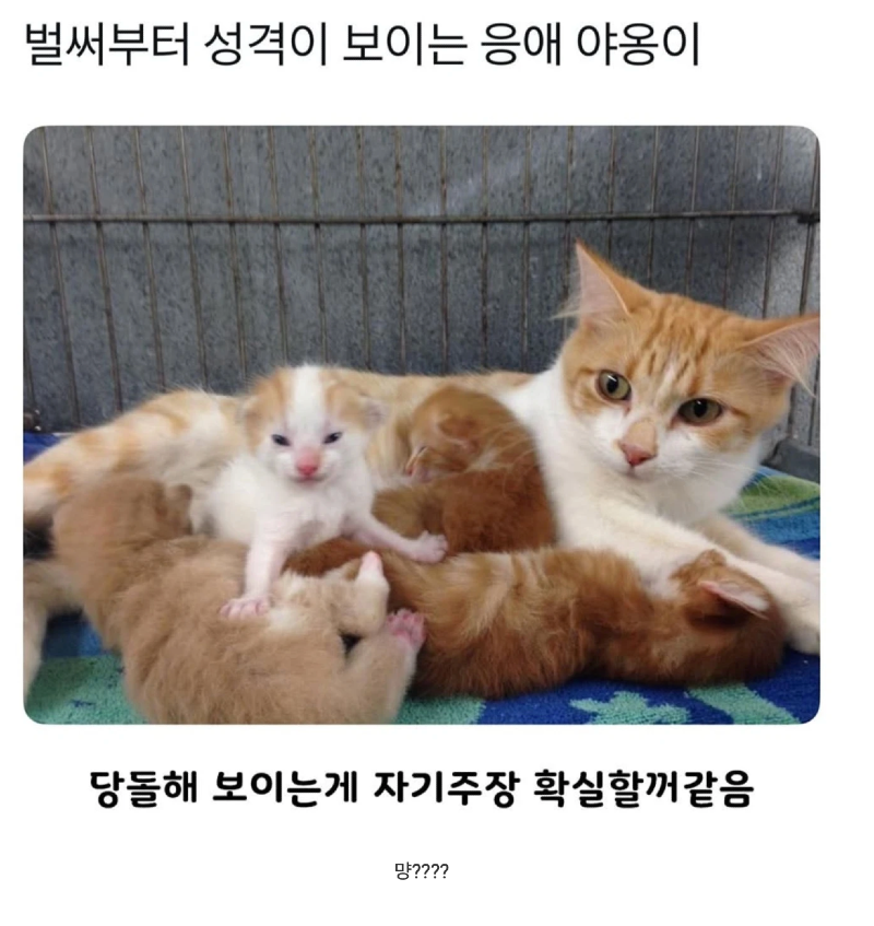 스크린샷 2026-04-01 오전 12.24.58.png