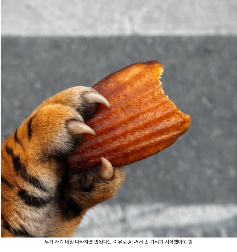 스크린샷 2026-04-04 오전 5.42.14.png