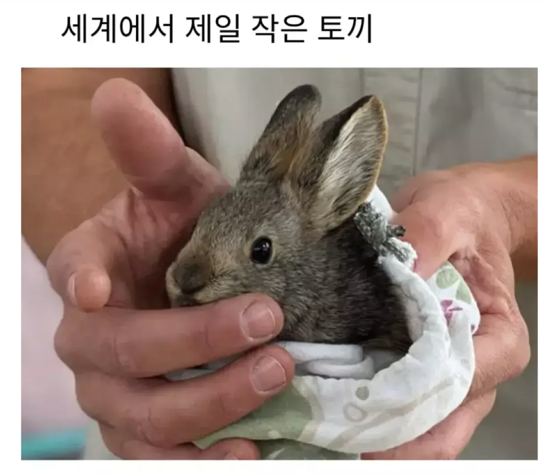 스크린샷 2026-04-04 오전 6.08.20.png
