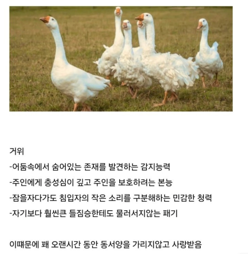 스크린샷 2026-04-04 오전 6.13.54.png