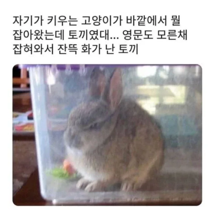 스크린샷 2026-04-08 오후 7.51.19.png