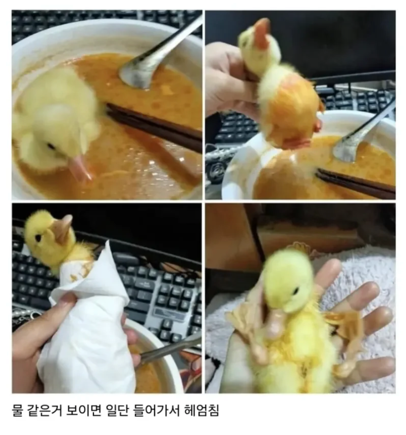 스크린샷 2026-04-12 오전 12.10.47.png