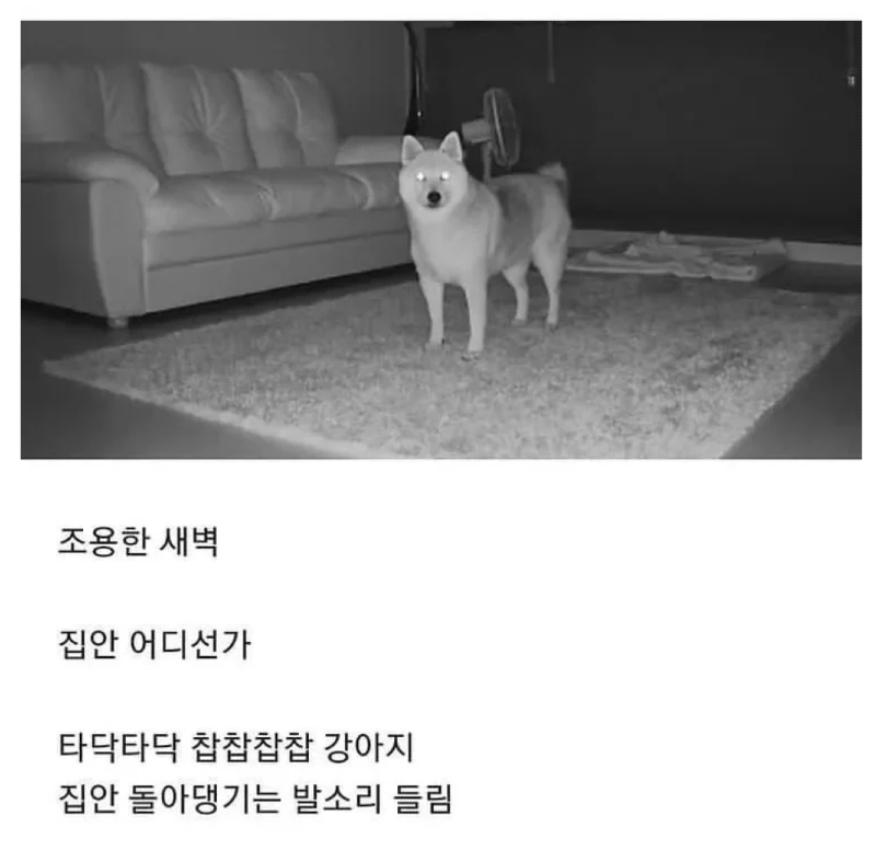 스크린샷 2026-04-12 오전 12.17.13.png
