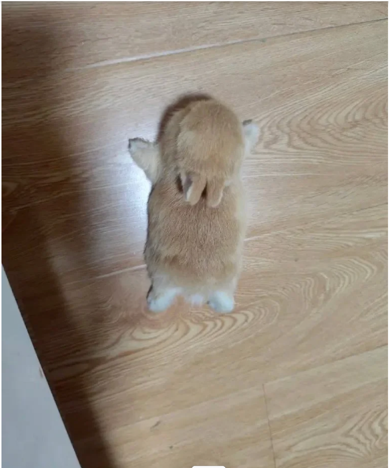 스크린샷 2026-04-12 오전 12.22.42.png
