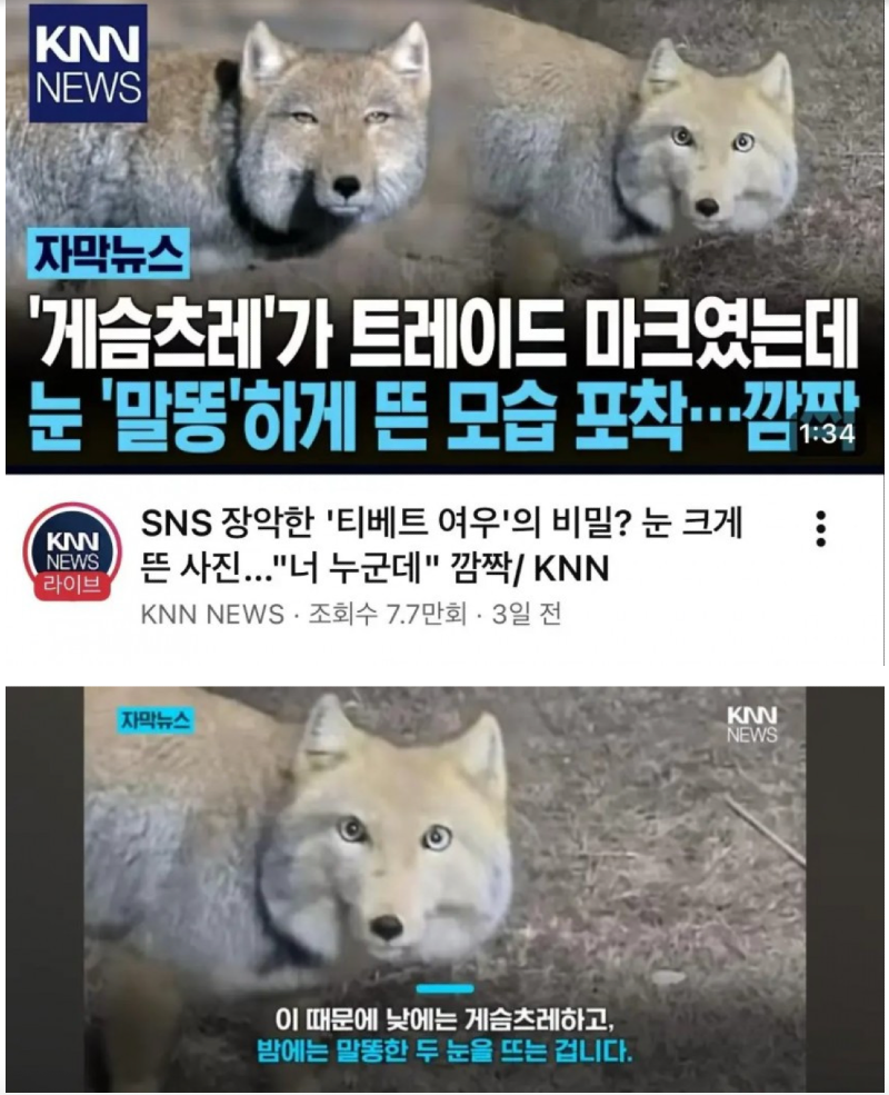 스크린샷 2026-04-26 오전 1.21.10.png