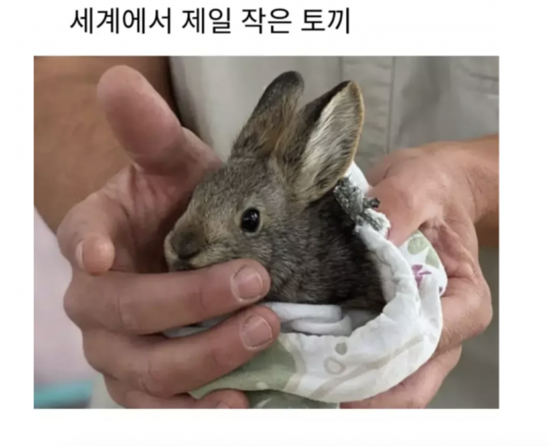 스크린샷 2026-04-29 오후 7.28.59.png