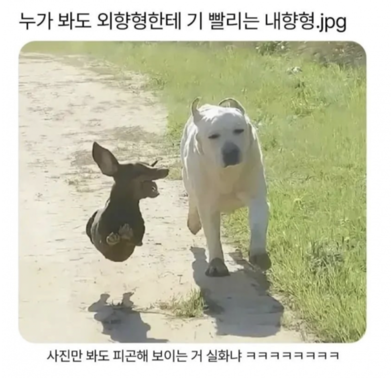 스크린샷 2026-04-29 오후 7.28.36.png