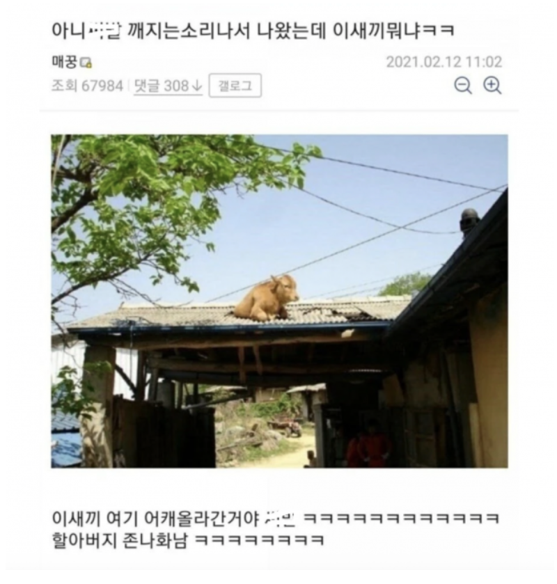 스크린샷 2026-05-06 오후 7.01.29.png