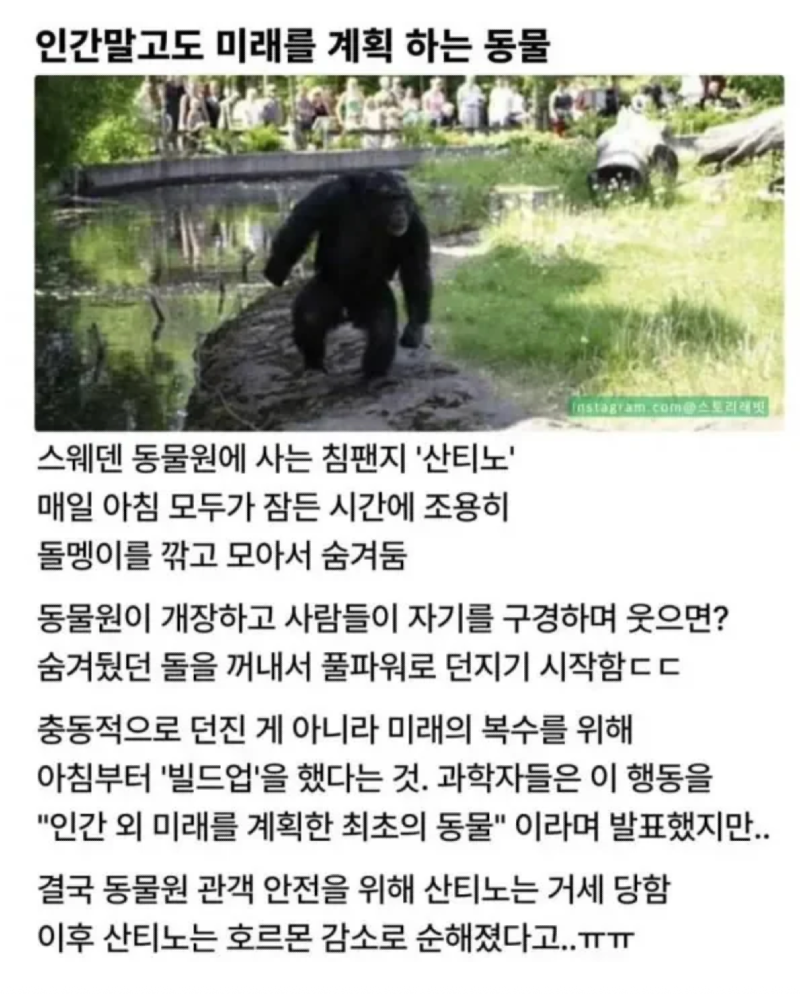 스크린샷 2026-05-12 오후 7.07.12.png