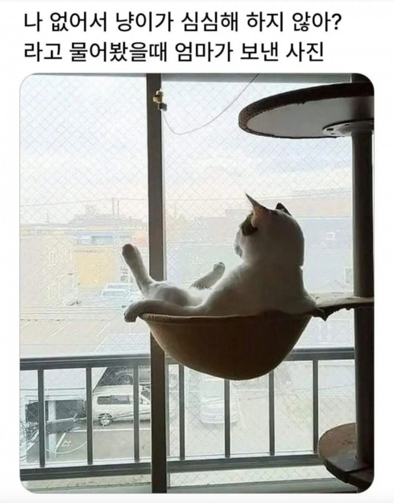 스크린샷 2026-05-18 오전 8.03.27.png