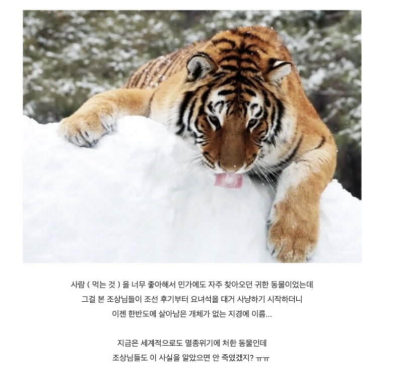 스크린샷 2026-05-19 오후 6.57.51.png