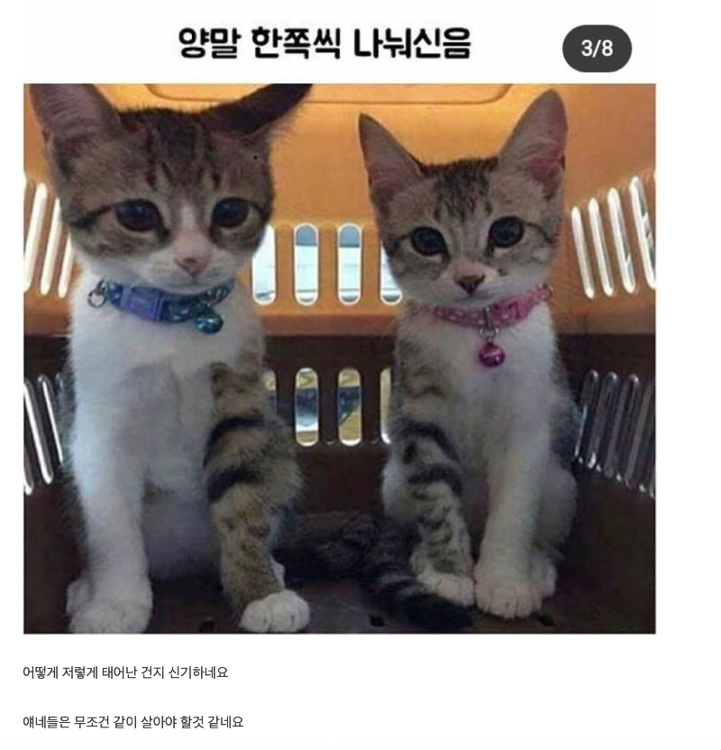 스크린샷 2026-05-24 오전 8.19.14.png