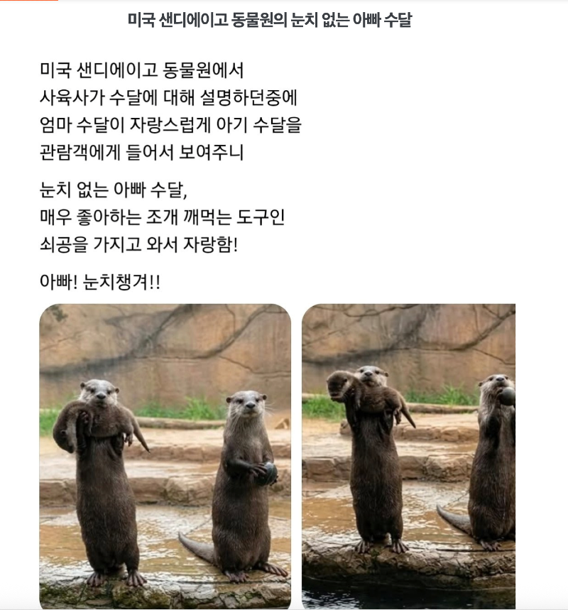 스크린샷 2026-05-24 오전 8.21.31.png