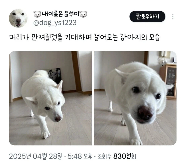 스크린샷 2026-05-30 오후 8.07.37.png