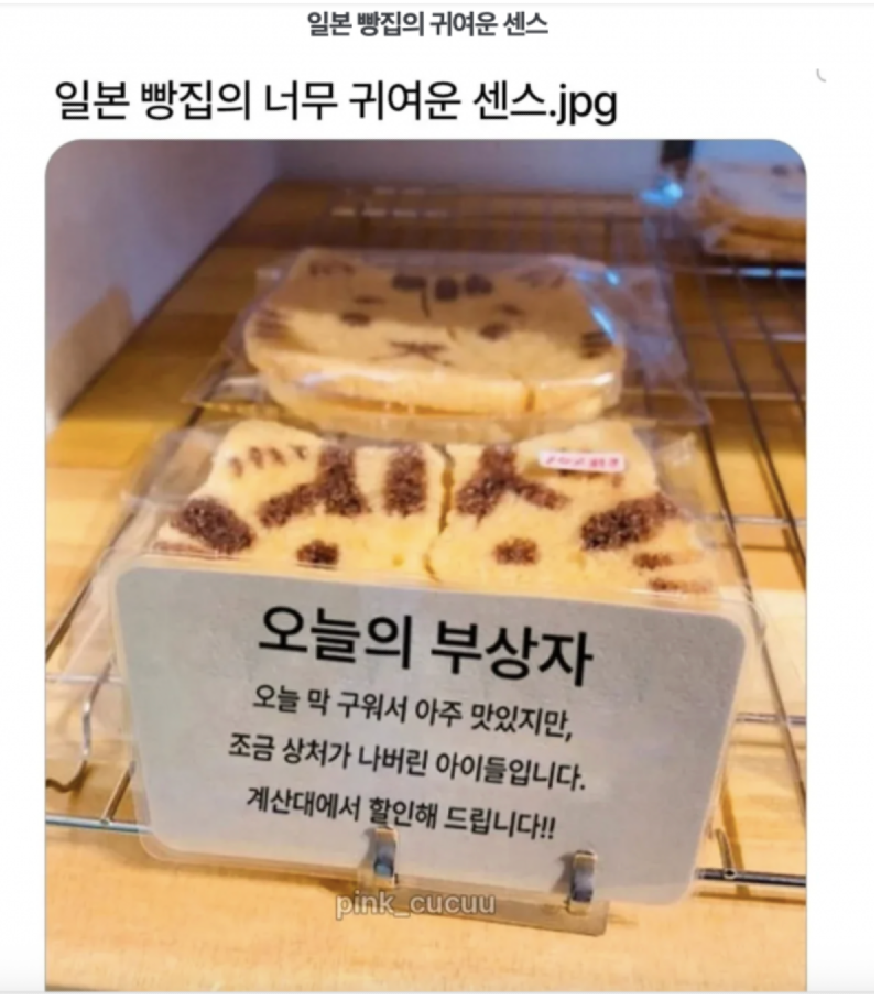 스크린샷 2026-06-02 오후 8.51.57.png