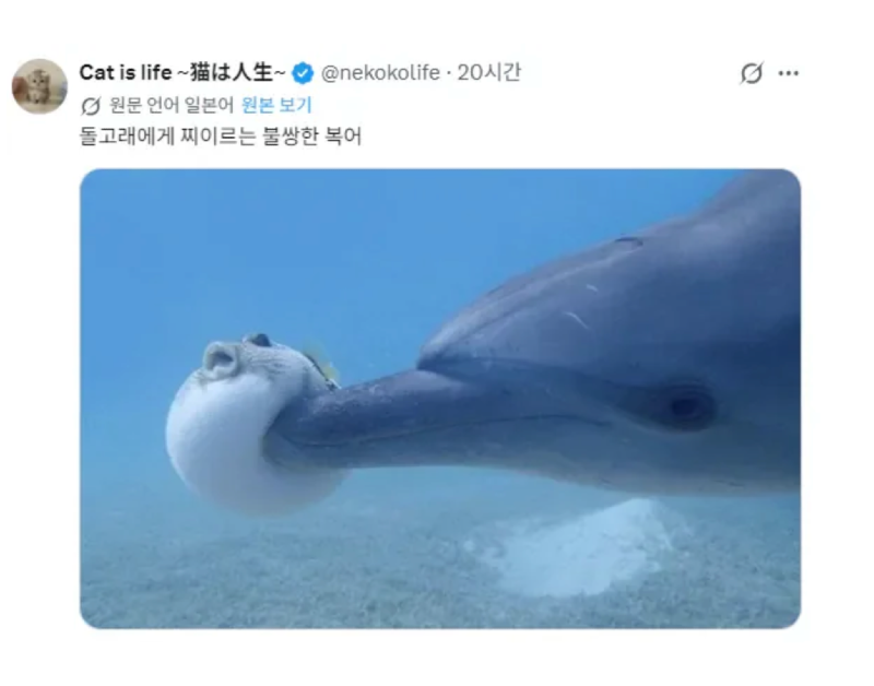 스크린샷 2026-06-03 오후 7.12.11.png