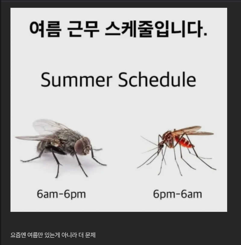 스크린샷 2026-06-15 오후 7.10.40.png