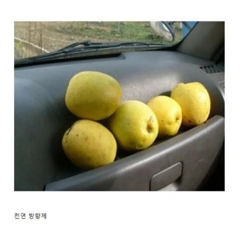 스크린샷 2026-06-22 오후 5.44.45.png