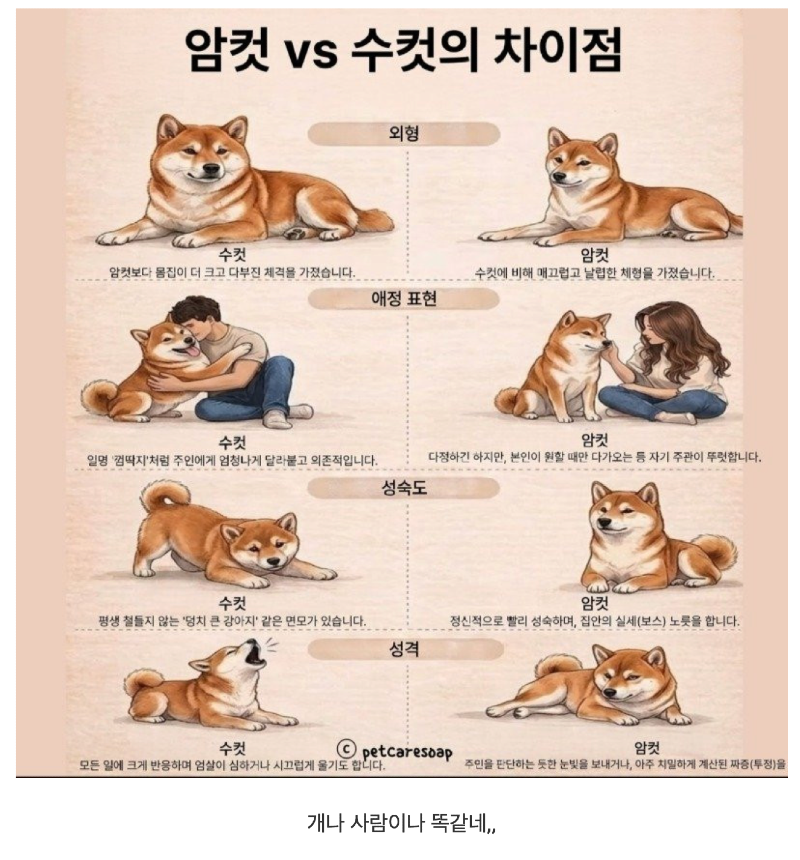 스크린샷 2026-06-30 오후 6.33.14.png
