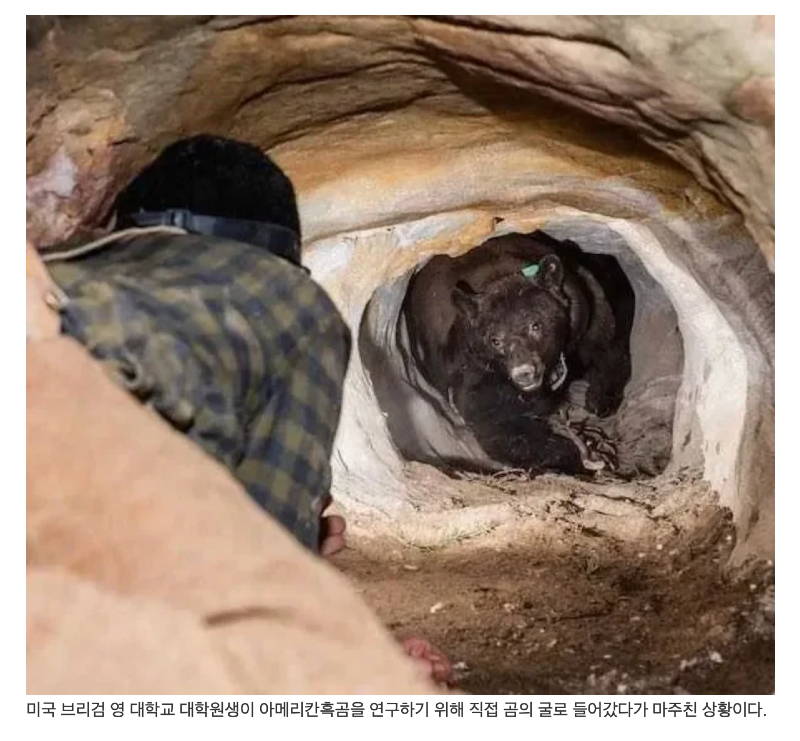 스크린샷 2026-07-05 오후 6.25.52.png
